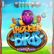 Power Zones™: Thunder Birds