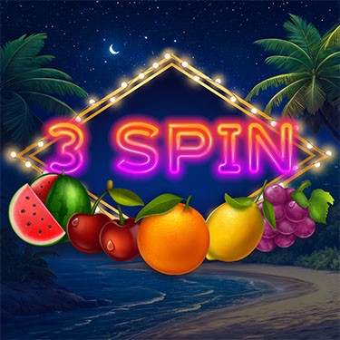 3 Spin