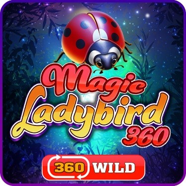 Magic Ladybird 360