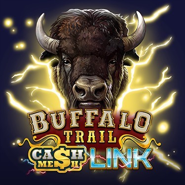 Buffalo Trail – Cash Mesh LINK