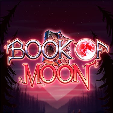 Book of Moon