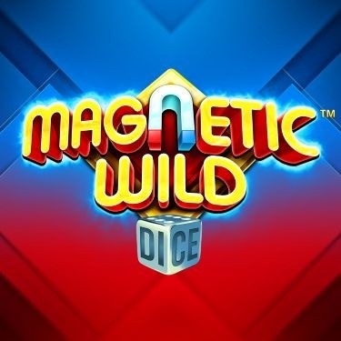 Magnetic Wild Dice