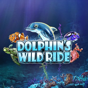 Dolphin’s Wild Ride