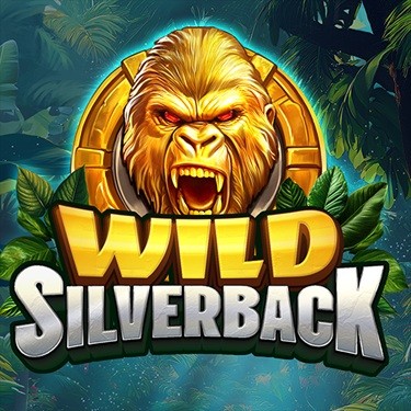 Wild Silverback