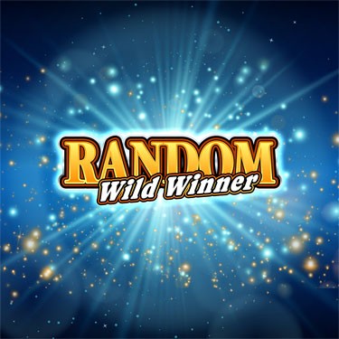 Random Wild Winner